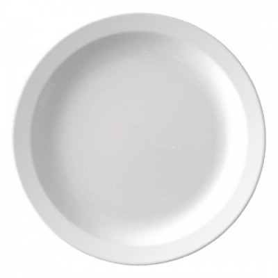 Dinner Plates